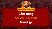 Đầu Đít Câm đánh lô gì hôm sau? Cách soi Lô Câm bắt số đẹp