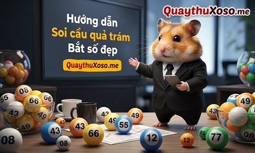 Hướng dẫn chi tiết cách bắt cầu lô quả trám