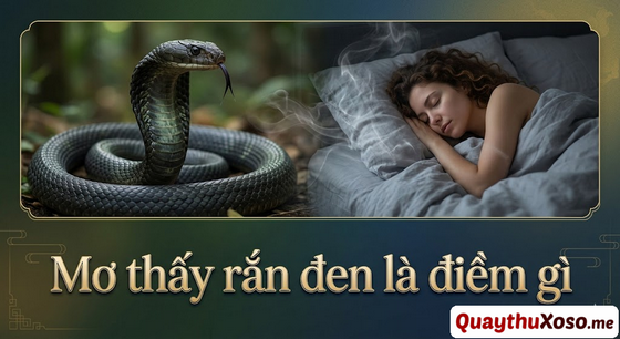 Chiêm bao thấy con rắn màu đen là lành hay dữ? Chiêm bao thấy con rắn màu đen là lành hay dữ?