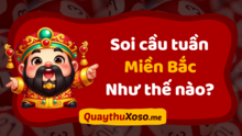 Chia sẻ cách soi cầu tuần xổ số và lô tô miền Bắc hiệu quả