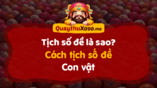 Tìm hiểu về tịch số đề và cách tịch mơ lô đề theo con vật và giấc mơ