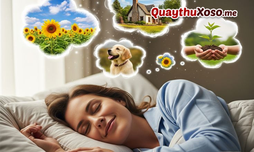 Tịch số theo giấc mơ cũng rất phổ biến