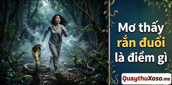 Chiêm bao thấy bị rắn đuổi theo là điềm may hay xui? Chiêm bao thấy bị rắn đuổi theo là điềm may hay xui?
