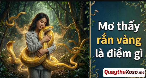 Giải mã điềm báo giấc chiêm bao thấy con rắn màu vàng Giải mã điềm báo giấc chiêm bao thấy con rắn màu vàng
