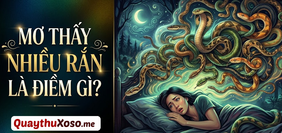 Ngủ mơ thấy nhiều con rắn có phải là điềm báo xui xẻo?