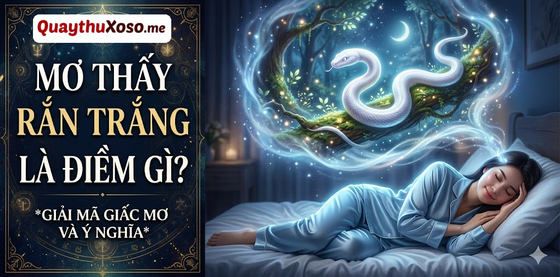 Nằm mơ thấy con rắn màu trắng có điềm may hay xui?