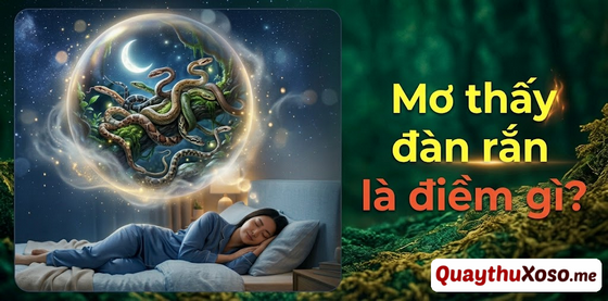 Chiêm bao thấy đàn rắn dự báo điềm xấu hay tốt?