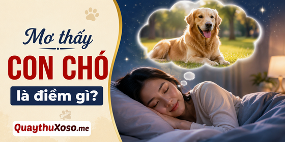 Nằm mơ thấy con chó là điềm báo xấu hay tốt?
