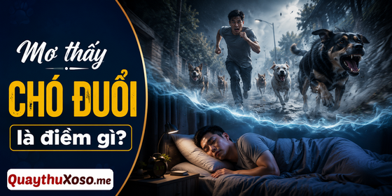 Chiêm bao thấy bị chó đuổi dự báo điềm xấu hay tốt?