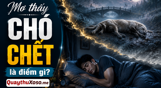 Nằm mơ thấy con chó bị chết ám chỉ điều gì?