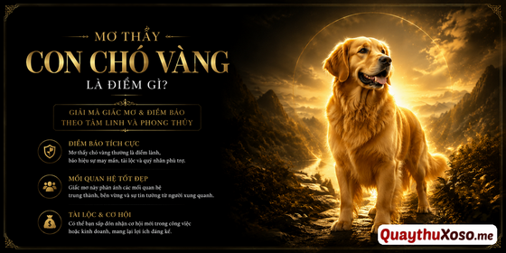 Chiêm bao thấy con chó vàng là điềm hung hay cát? Chiêm bao thấy con chó vàng là điềm hung hay cát?