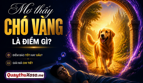 Ngủ mơ thấy chó vàng dự báo điềm gì? Ngủ mơ thấy chó vàng dự báo điềm gì?