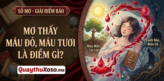 Ngủ mơ thấy máu đỏ tươi ám chỉ điềm báo lành hay dữ? Ngủ mơ thấy máu đỏ tươi ám chỉ điềm báo lành hay dữ?