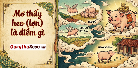 Nằm mơ thấy con heo (lợn) dự báo điềm may hay xui? Nằm mơ thấy con heo (lợn) dự báo điềm may hay xui?