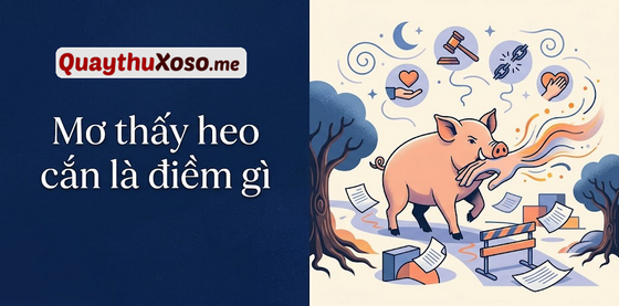 Nằm mơ thấy bị heo cắn, rượt đuổi dự báo điềm hung hay cát? Nằm mơ thấy bị heo cắn, rượt đuổi dự báo điềm hung hay cát?
