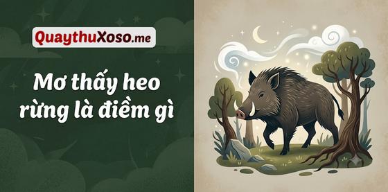 Ngủ mơ thấy con heo rừng dự báo điềm may hay xui? Ngủ mơ thấy con heo rừng dự báo điềm may hay xui?