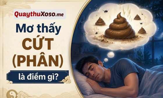 Nằm mơ thấy cứt (phân) báo hiệu điềm may hay xui?