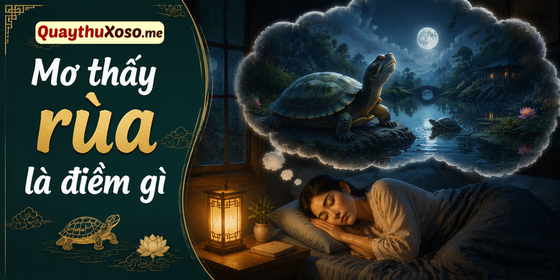 Nằm mơ thấy rùa báo hiệu điềm hung hay cát? Nằm mơ thấy rùa báo hiệu điềm hung hay cát?