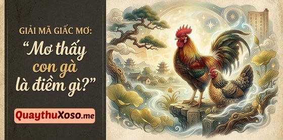 Nằm mơ thấy con gà dự báo điềm may hay rủi? Nằm mơ thấy con gà dự báo điềm may hay rủi?