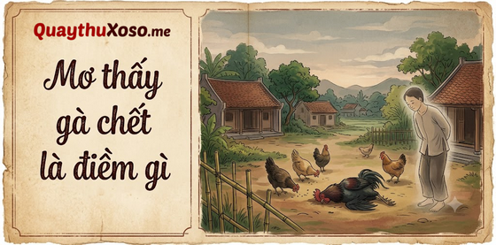 Nằm mơ thấy con gà chết dự báo điềm hung hay cát? Nằm mơ thấy con gà chết dự báo điềm hung hay cát?