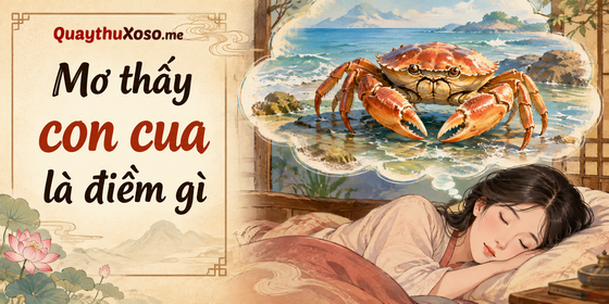Mơ thấy con cua là điềm lành hay dữ? Mơ thấy con cua là điềm lành hay dữ?