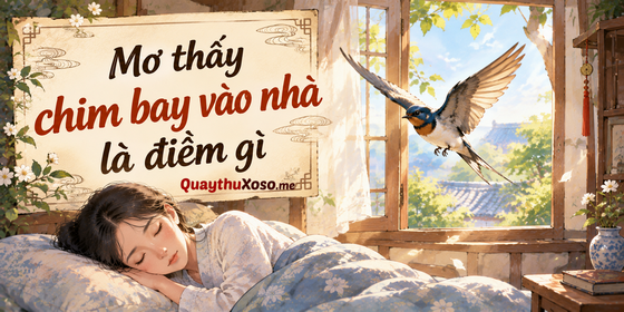Nằm mơ thấy chim bay vào nhà dự báo điềm may hay rủi? Nằm mơ thấy chim bay vào nhà dự báo điềm may hay rủi?
