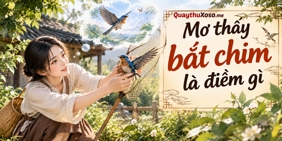 Nằm mơ thấy bắt chim dự báo điềm may hay rủi? Nằm mơ thấy bắt chim dự báo điềm may hay rủi?