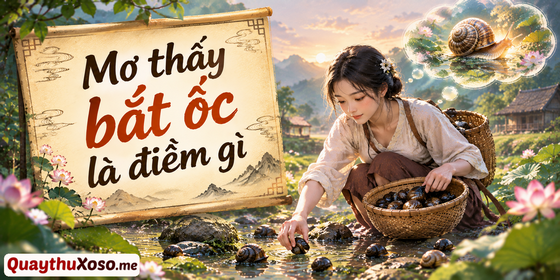 Nằm mơ thấy bắt ốc dự báo điềm may hay xui?